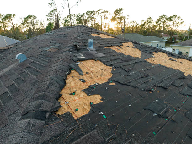 Waterproofing in Meadow Glade, WA