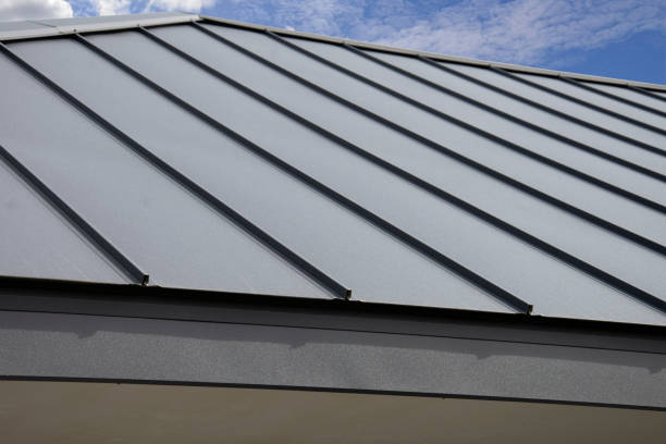 Steel Roofing in Meadow Glade, WA